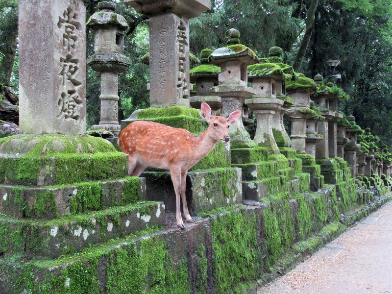Japan