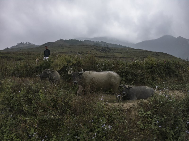 Vietnam (2)