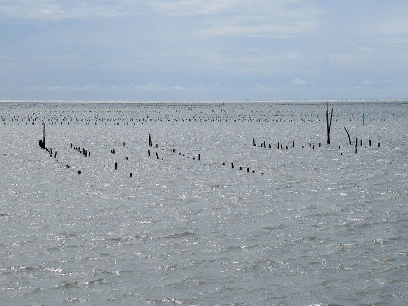 Taiwan (Formosa)