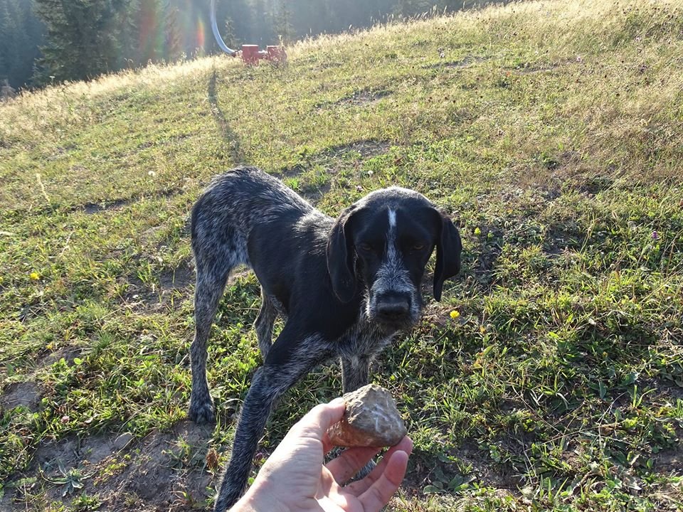 Pobaw się ze mną człowieku!