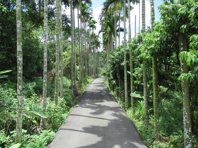 Taiwan (Formosa)