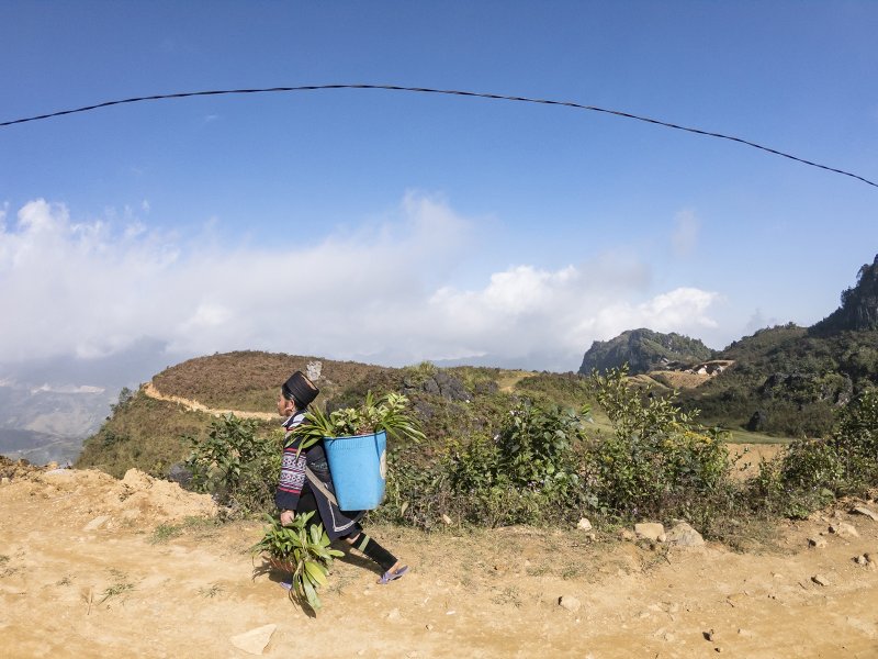 Vietnam (2)